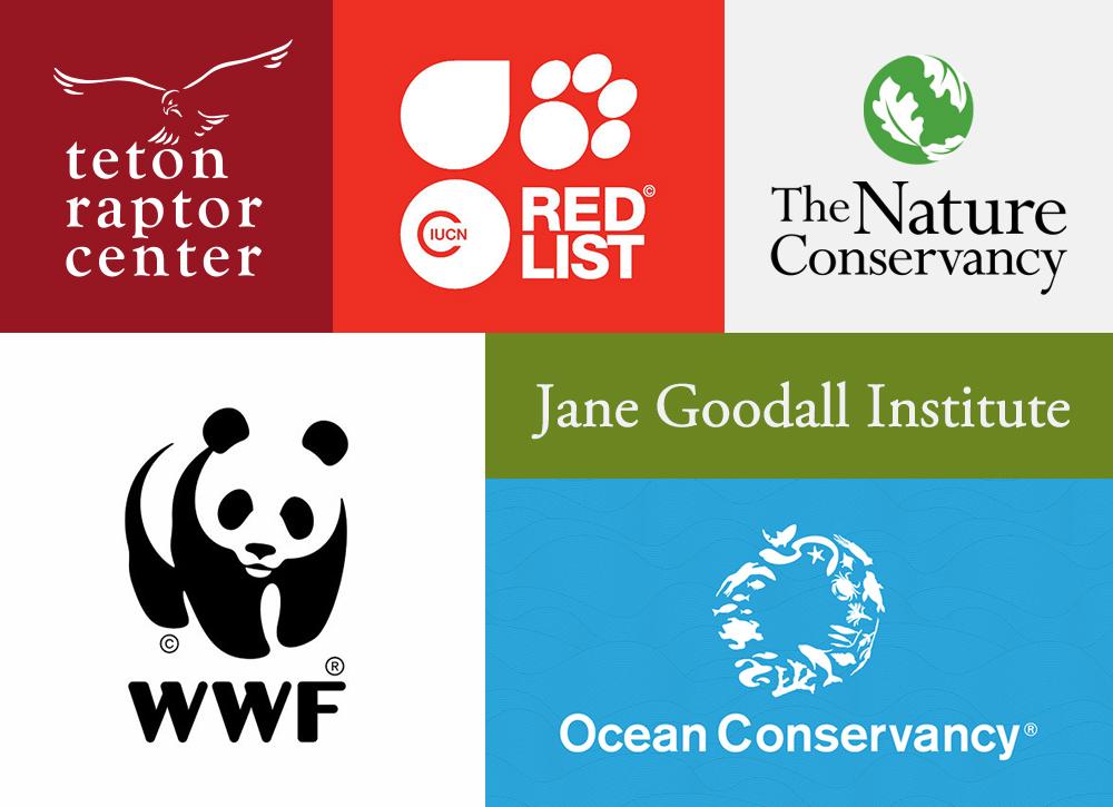 OddGoods supports animals. - OddGoods